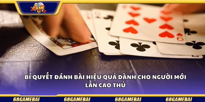 Bí quyết đánh bài hiệu quả dành cho người mới lẫn cao thủ